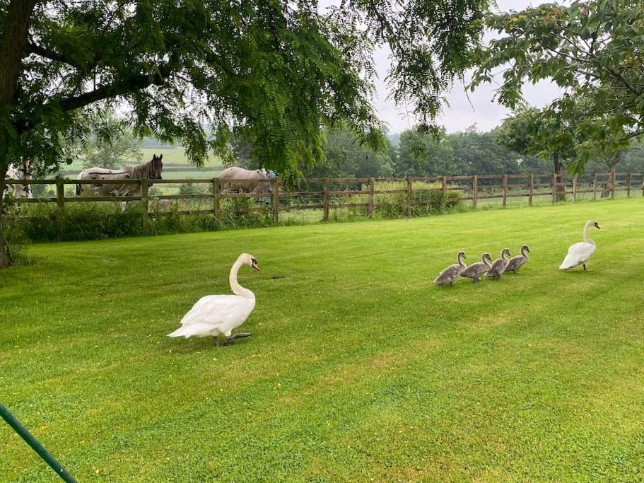Cottage Barn Conversion On Working Farm Worcester Bagian luar foto